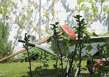 Pflege durch Meisterhand